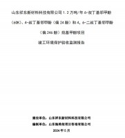 山東祥東新材料科技有限公司1.2萬噸/年6-叔丁基鄰甲(60K)、4-叔丁基鄰甲酚(偏 24 酚)和 4，6-二叔丁基鄰甲酚(偏 246 酚)烷基甲酚項目竣工環境保護驗收監測報告